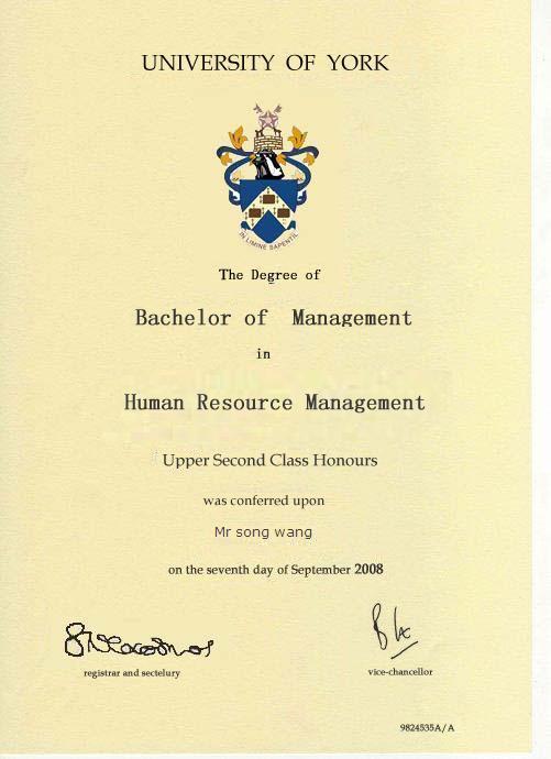  英国约克大学毕业证样本
